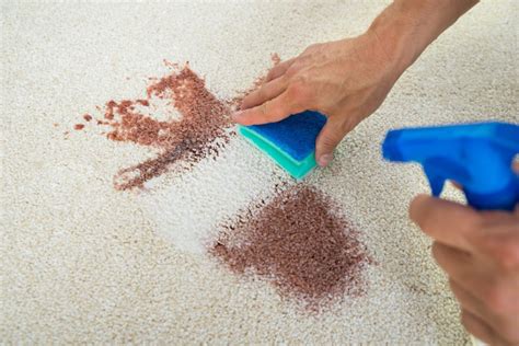 How to Get Stains Out of Porous Stone: And Why Your Coffee Mug Might Be the Culprit