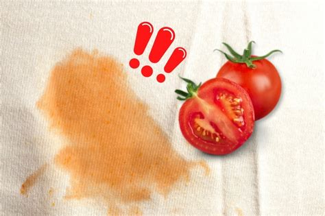 How to Get Tomato Sauce Stains Out of Plastic: A Comprehensive Guide and the Curious Case of Spaghetti Dreams