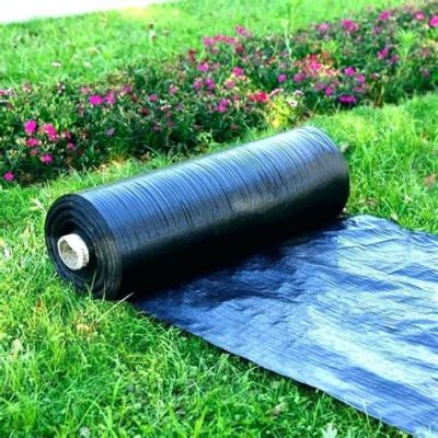 How to Lay Black Plastic in Garden: A Comprehensive Guide